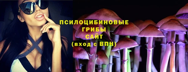 шишки Армянск