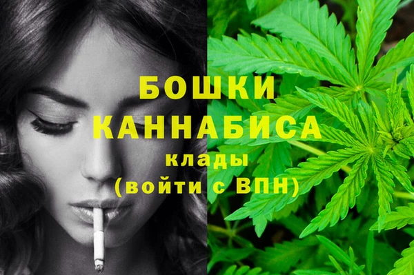 шишки Армянск