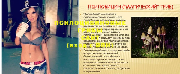 a pvp Аркадак