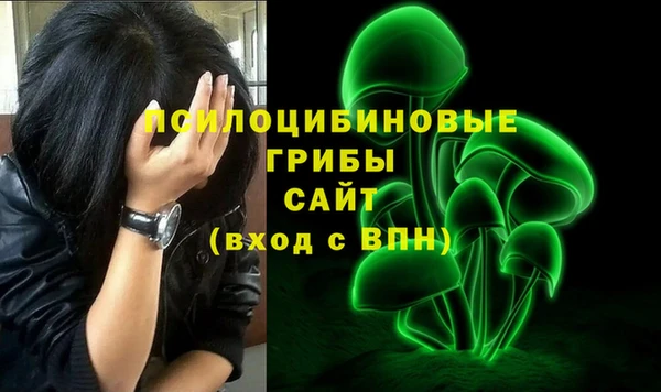 a pvp Аркадак