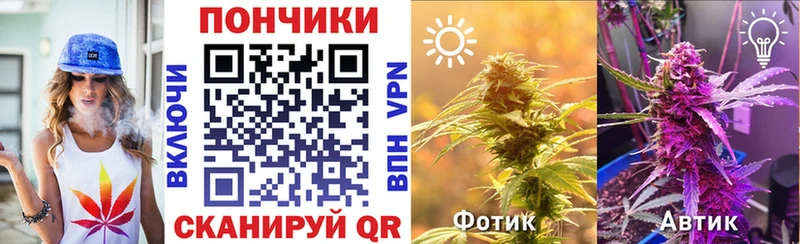 МАРИХУАНА гибрид Порхов